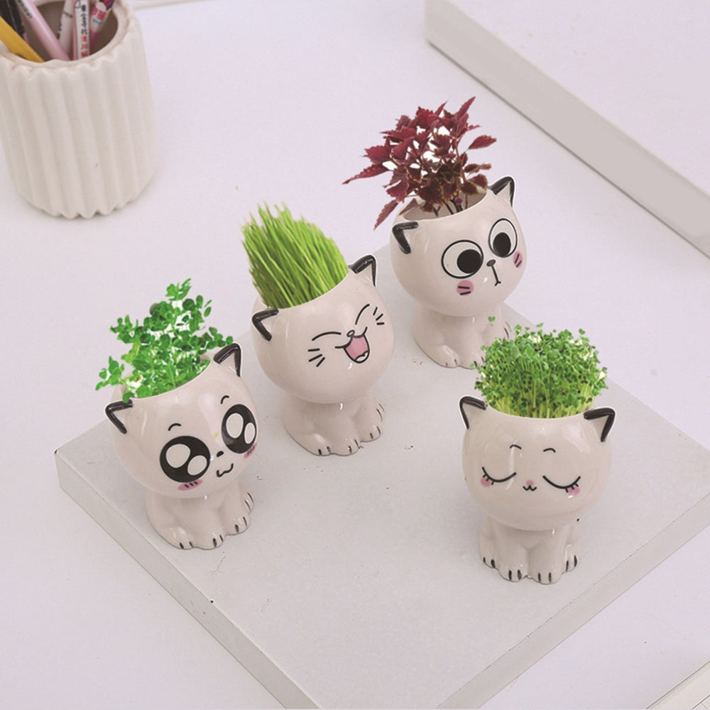 Mini Cat Shaped Planter - Tortuna